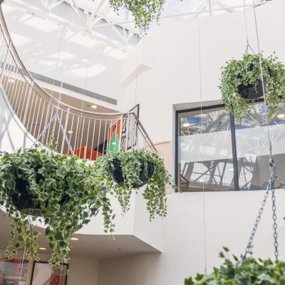 6-7 St Stephen's Green - Smyth House - Office 101