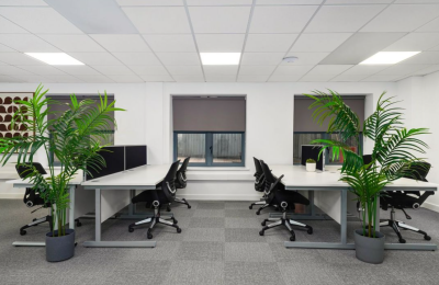 6 Fern Road - Suite 185