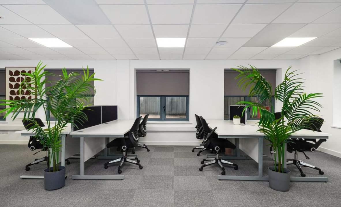 6 Fern Road - Suite 185